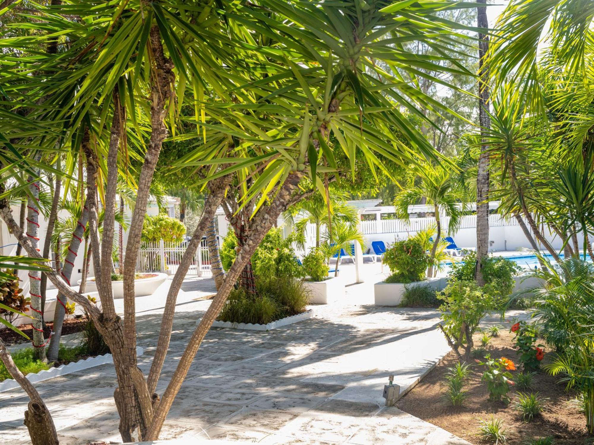Paradise Island Beach Club Ocean View Villas Creek Village Exterior photo