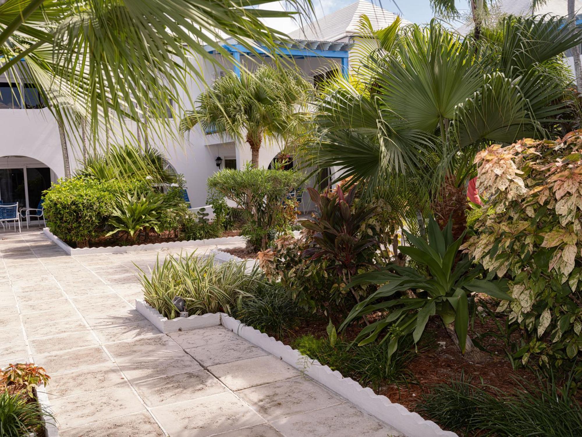 Paradise Island Beach Club Ocean View Villas Creek Village Exterior photo