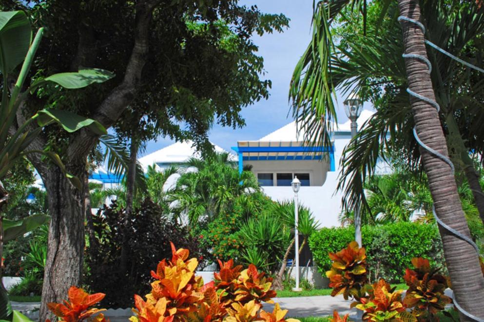 Paradise Island Beach Club Ocean View Villas Creek Village Exterior photo