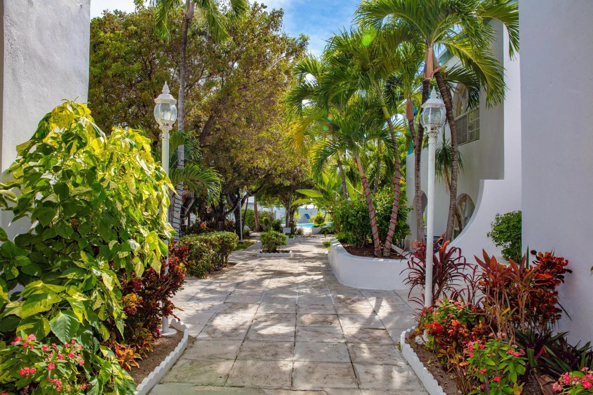 Paradise Island Beach Club Ocean View Villas Creek Village Exterior photo